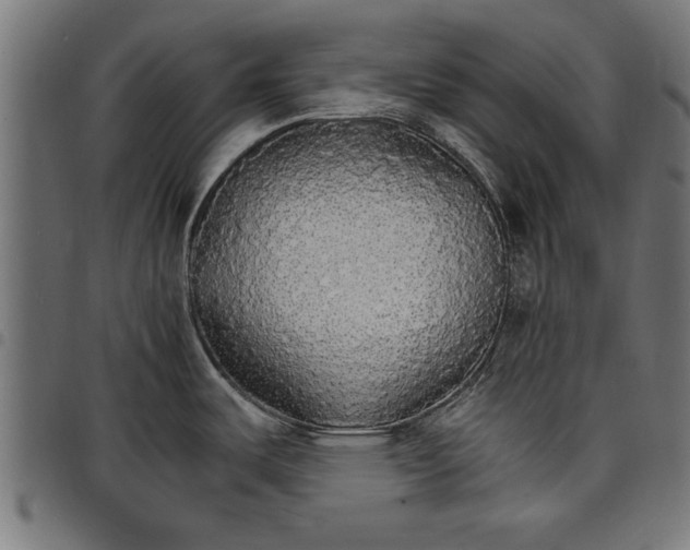 X0000097671487200803281002