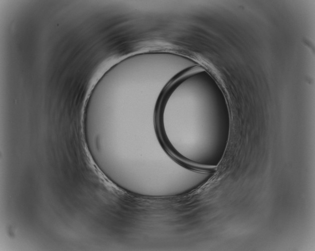 X0000097671488200803281002
