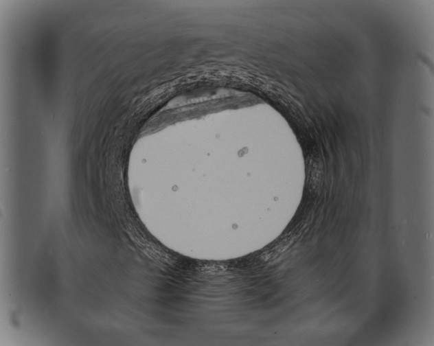 X0000097671489200803281001
