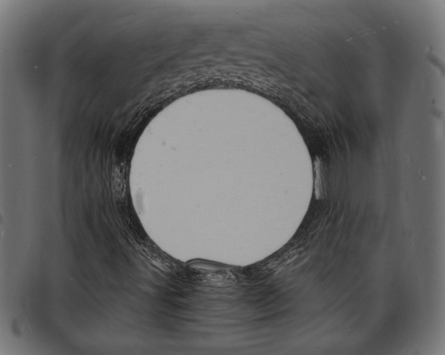 X0000097671491200803281001