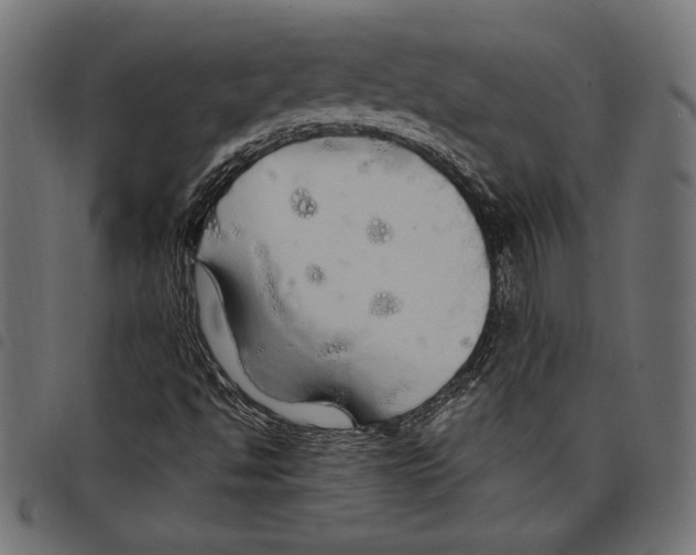 X0000097671494200803281001