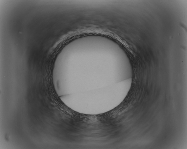 X0000097671495200803281001