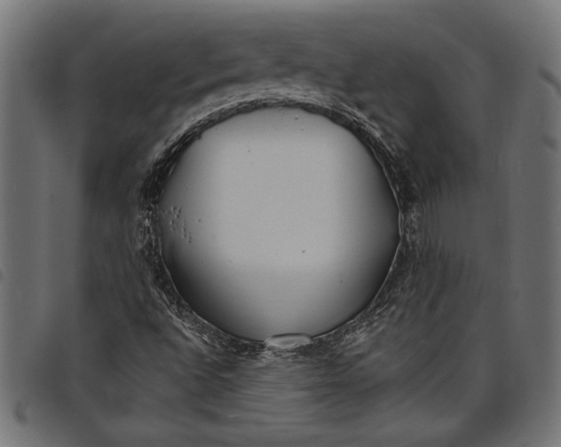 X0000097671496200803281001