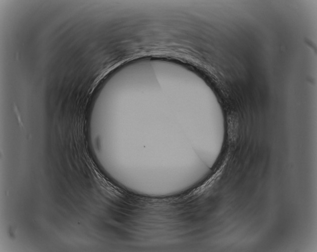 X0000097671497200803281001