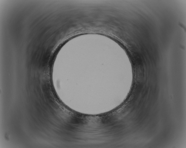 X0000097671498200803281001