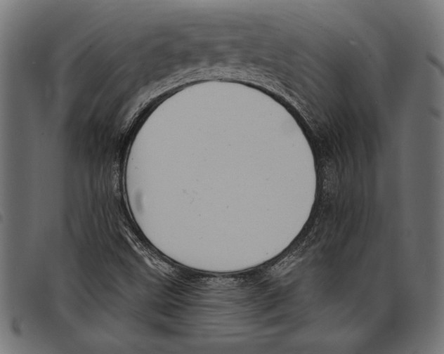 X0000097671499200803281001