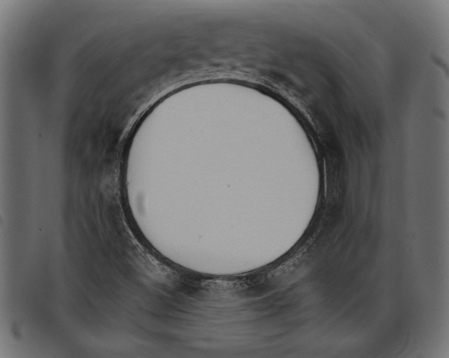 X0000097671500200803281001