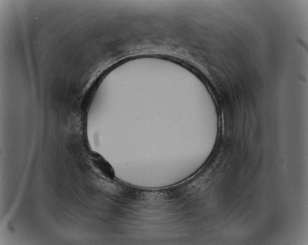 X0000097671501200803281001