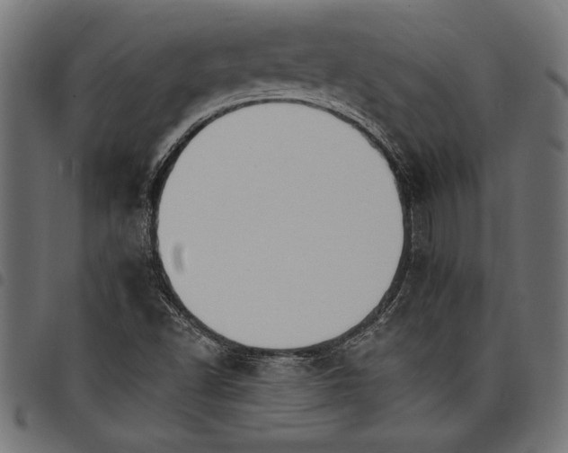 X0000097671502200803281001