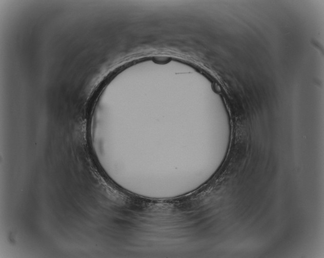 X0000097671503200803281001