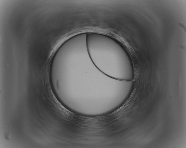X0000097671504200803281001