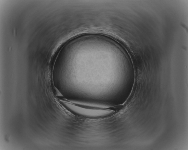 X0000097671506200803281001