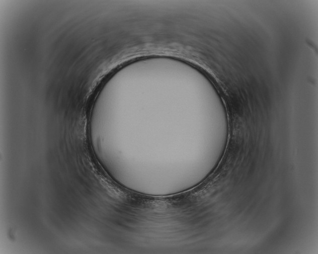X0000097671507200803281001
