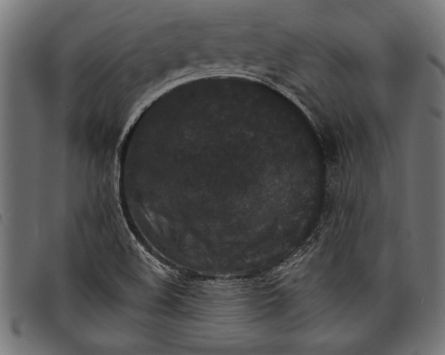 X0000097671508200803281001