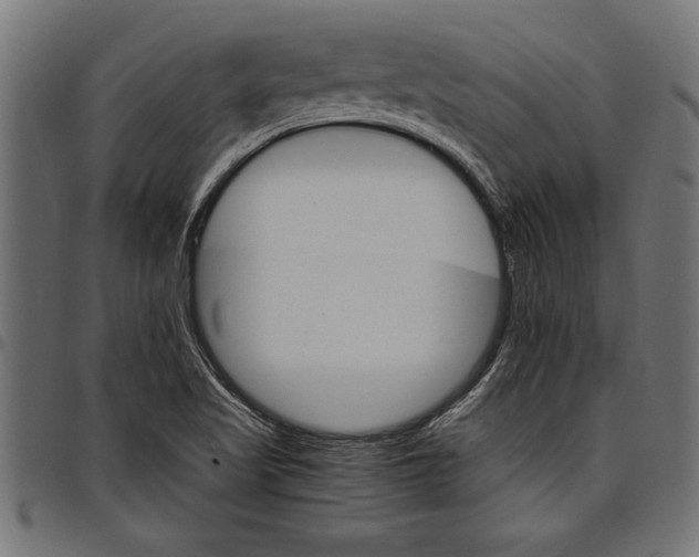 X0000097671509200803281001