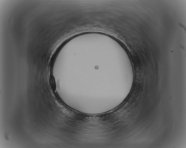 X0000097671511200803281001