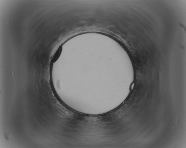 X0000097671512200803281001