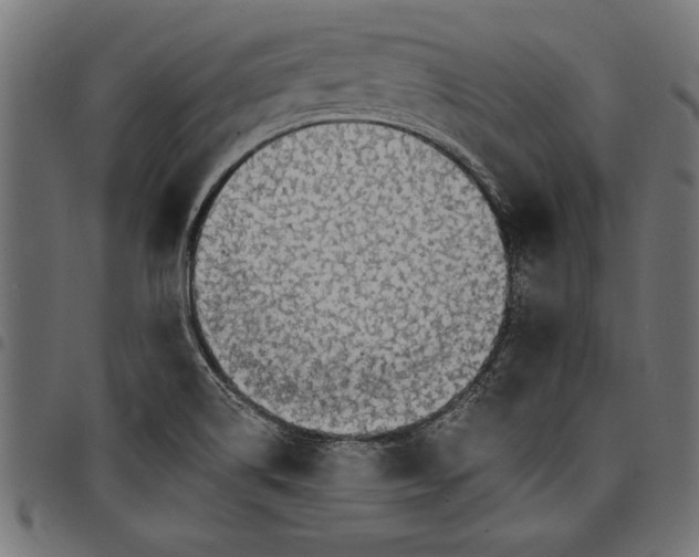 X0000097671514200803281001