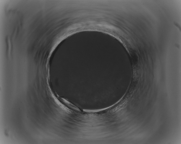 X0000097671515200803281001
