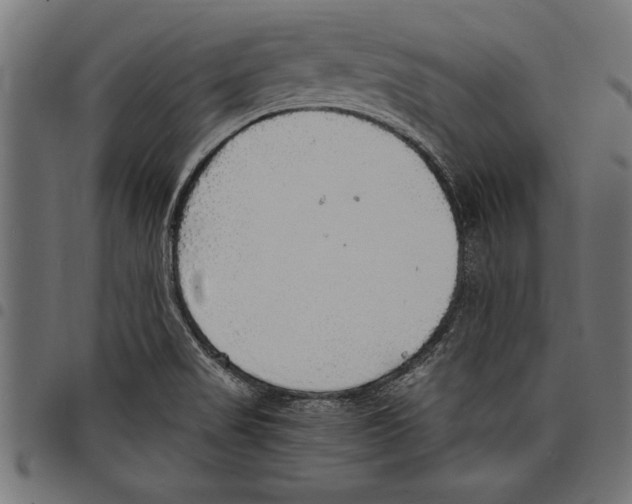X0000097671517200803281001