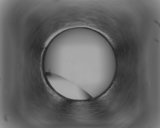 X0000097671518200803281001