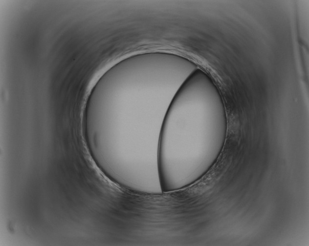 X0000097671520200803281001