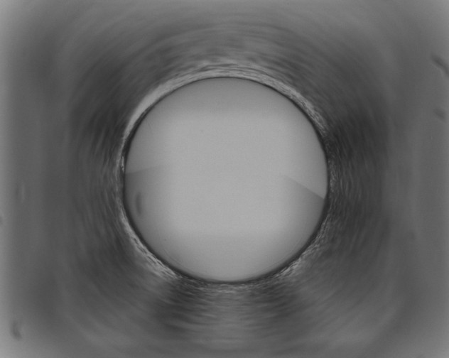 X0000097671522200803281001
