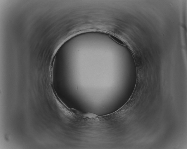 X0000097671524200803281001