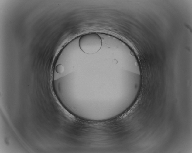 X0000097671525200803281001
