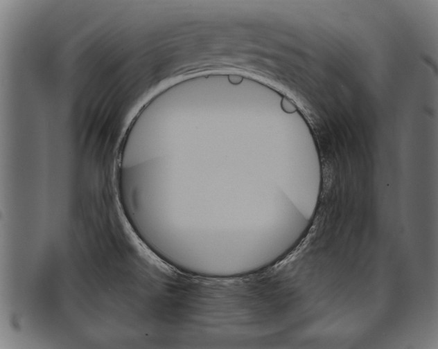 X0000097671526200803281001