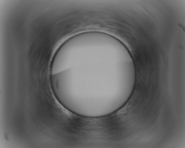 X0000097671527200803281001