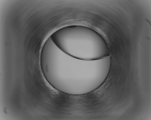 X0000097671528200803281002