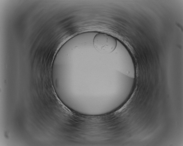 X0000097671529200803281002