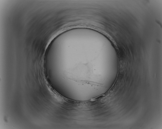 X0000097671530200803281002
