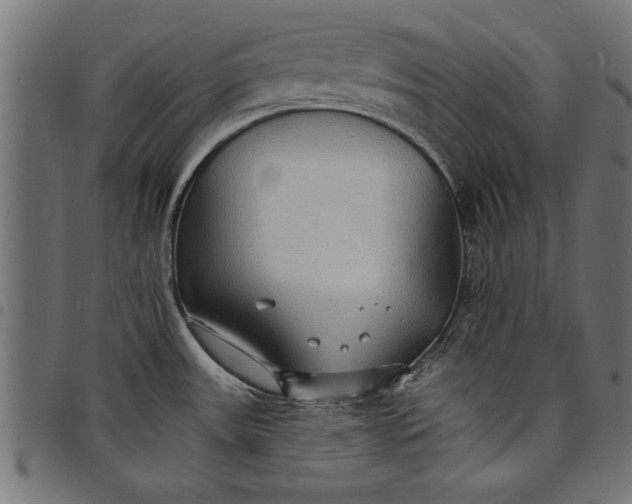 X0000097671531200803281002