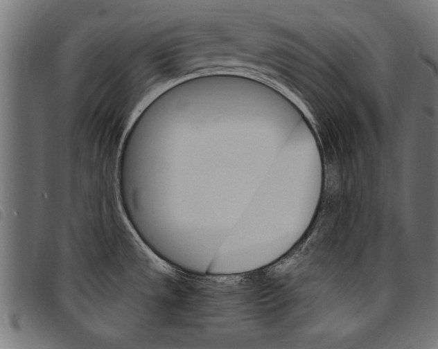 X0000097671533200803281002