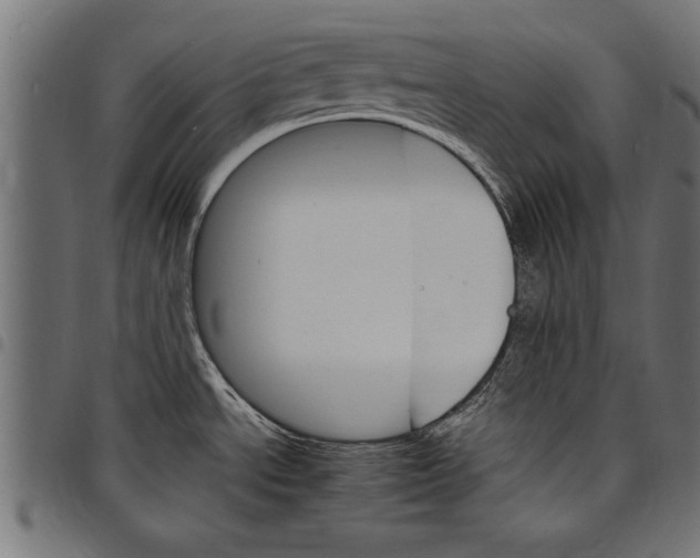 X0000097671534200803281002