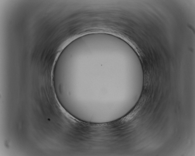 X0000097671535200803281002