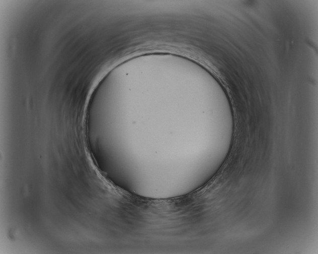 X0000097671536200803281002