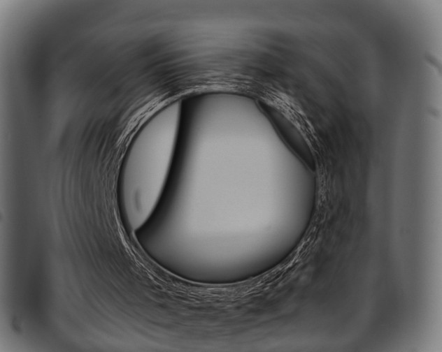 X0000097750001200803070853
