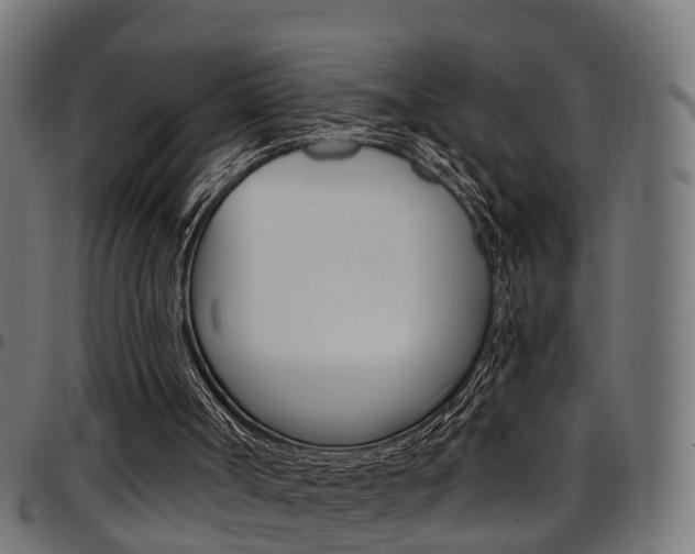 X0000097750002200803070853