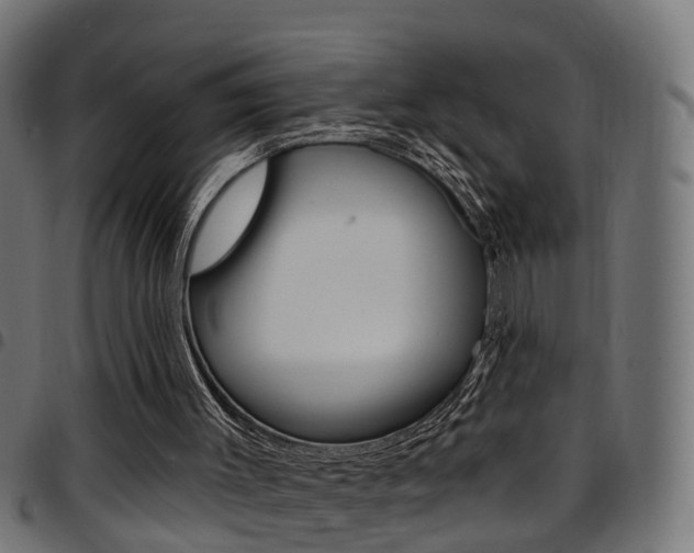 X0000097750003200803070853