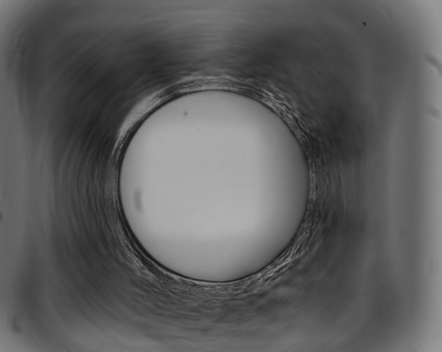 X0000097750004200803070853