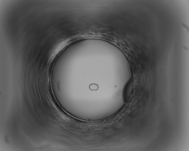 X0000097750005200803070853