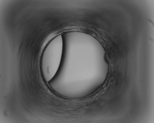 X0000097750006200803070853