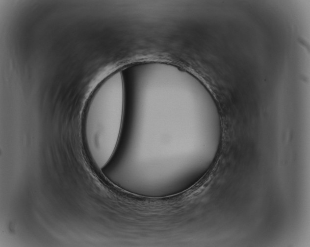X0000097750008200803070853