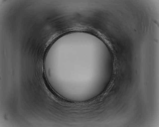 X0000097750011200803070853