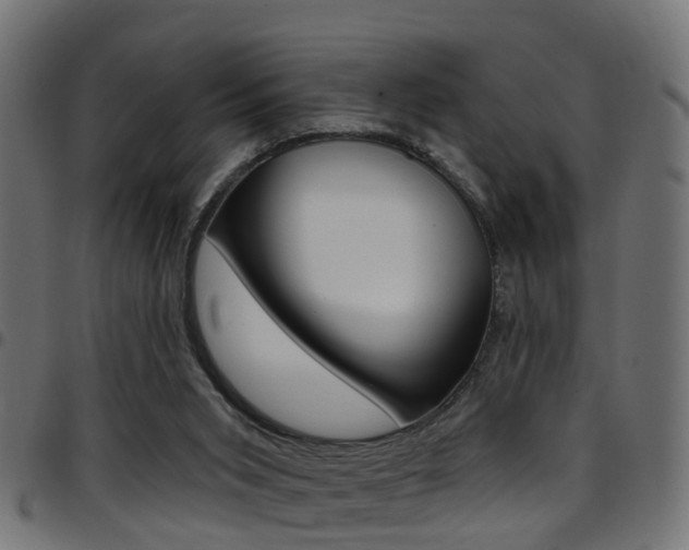 X0000097750015200803070853