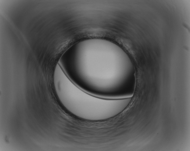 X0000097750017200803070853