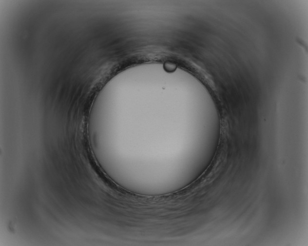 X0000097750018200803070853